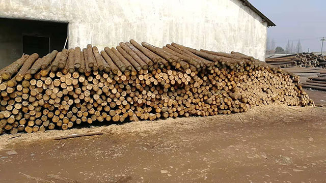 木樁供應(yīng) 木樁供應(yīng)